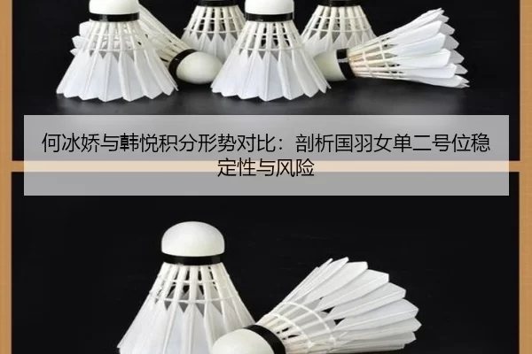 何冰娇与韩悦积分形势对比：剖析国羽女单二号位稳定性与风险